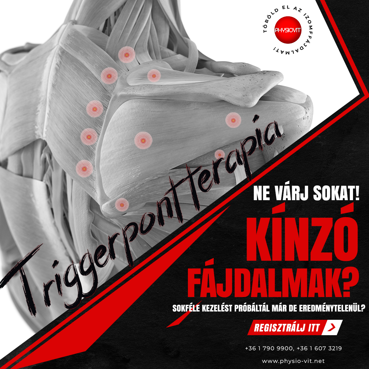images/banner/hirlevel_phwl/oktatas/triggerpont_kezeles2.jpg