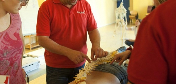 Neuro-Orthopädische Manuelle Therapie (INOMT)