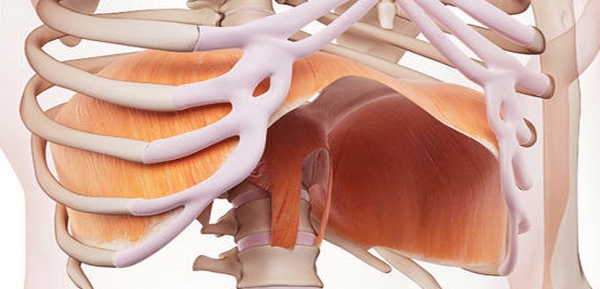 Esetbemutató - Rekeszizom diszfunkció korrekciója az orvosi munkában.